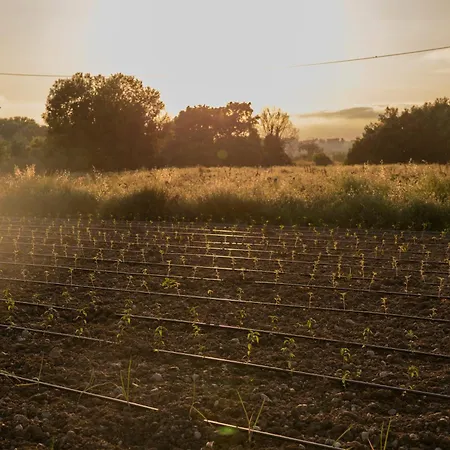 Alojamento de Turismo Rural Agri Charme Tenuta Picilli